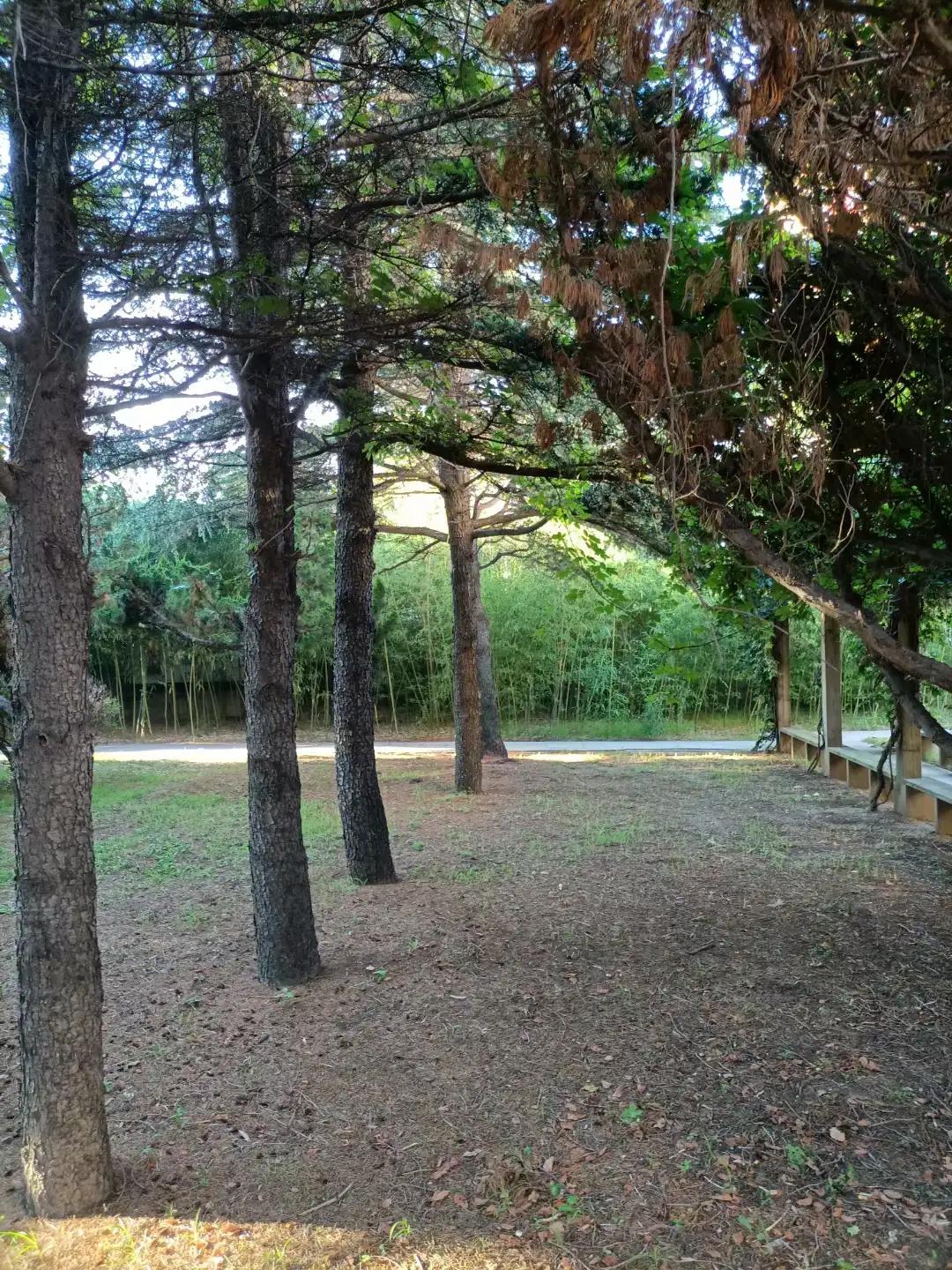 我和我的闺蜜们视频,我的闺蜜们