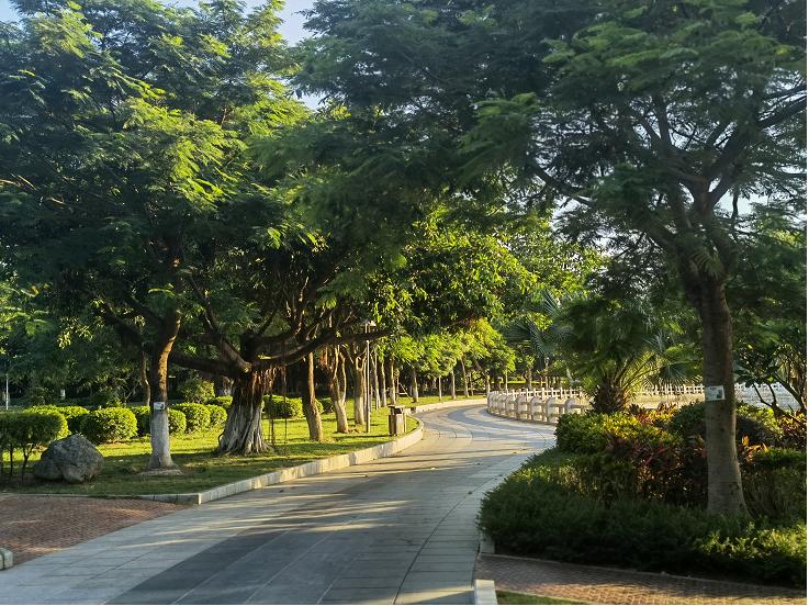 暑假我们来到了中国闻名的鼓浪屿,鼓浪屿暑假免费游玩攻略