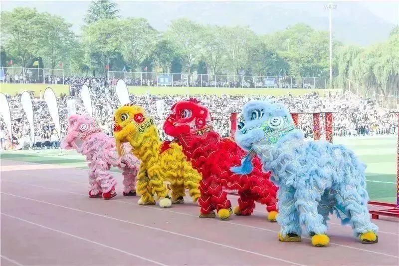 西译盛会最新进展,西译第15届运动会开幕式