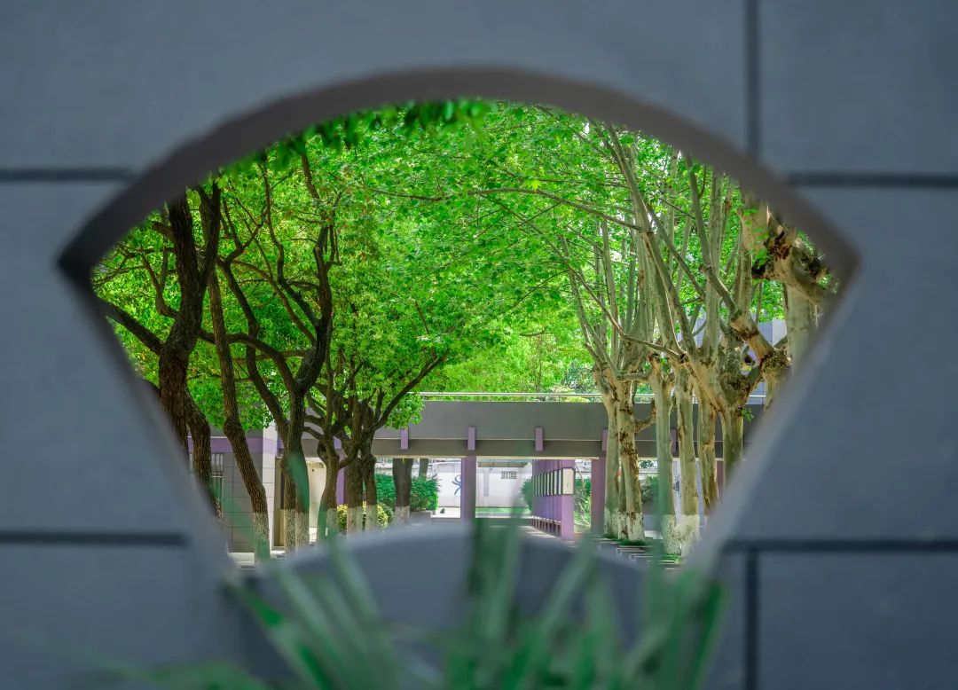 南京比较强的高中,南京厉害的高中