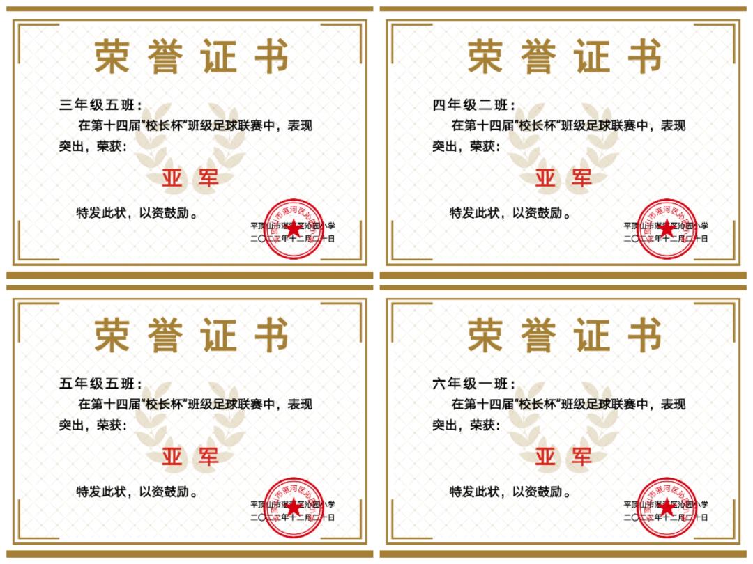 平顶山市长杯小学足球比赛,平顶山市长杯足球联赛小学决赛