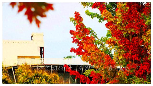 亲子儿童乐园主题酒店,假期适合儿童去的儿童乐园