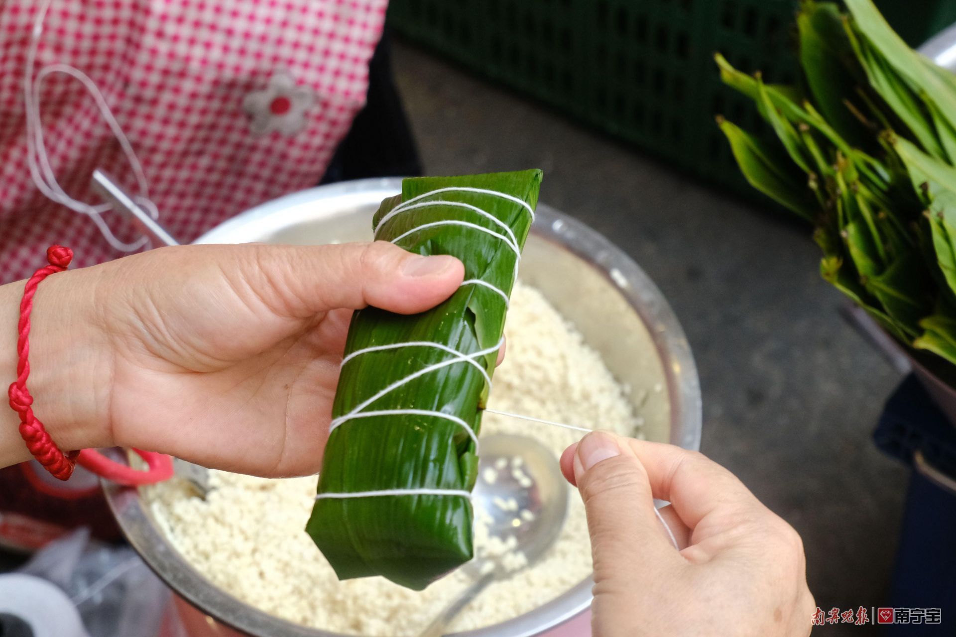 邕城印记图片,邕城印记兰花篇全文