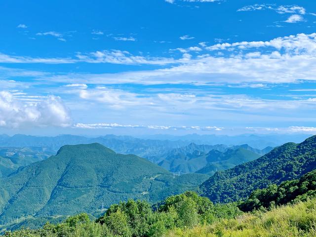 王永利生活视频,王永利清华大学