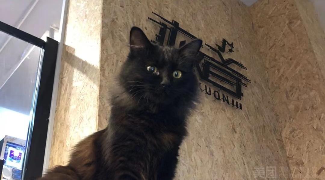 迁徙：被遗忘的音游人和街机店