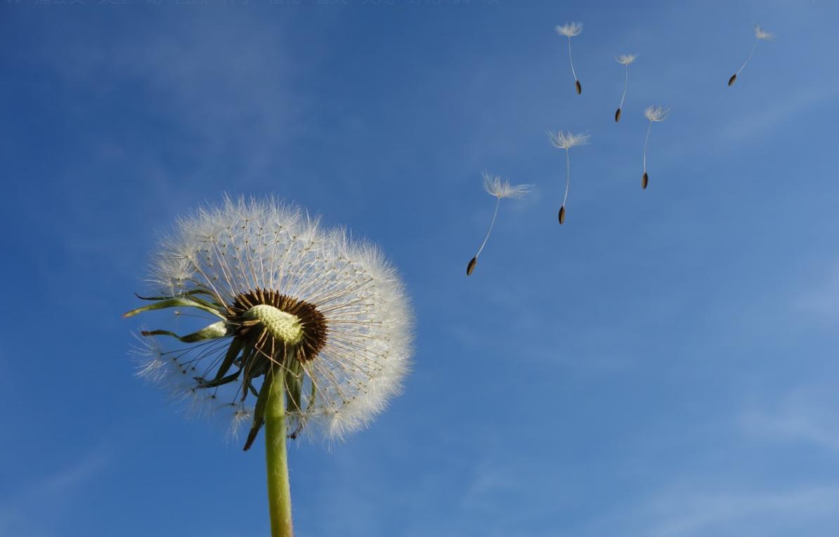 错过资产增值的机会有哪些,错过是最大的遗憾