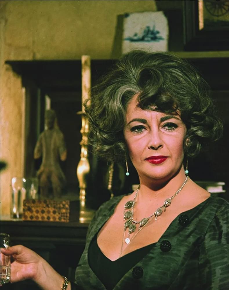 伊丽莎白泰勒从年轻到老的变化,伊丽莎白泰勒美貌