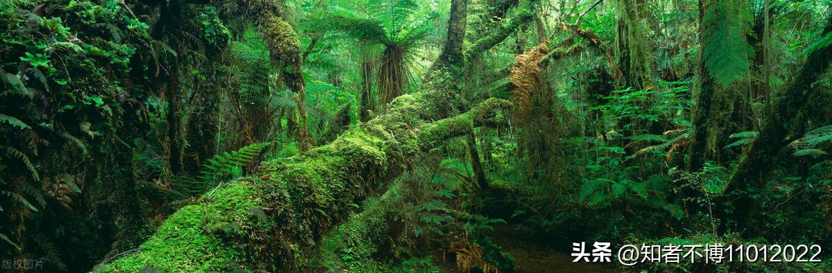 新西兰旅行27.聊聊新西兰的杂七杂八2【南岛旅游篇】【16022023】