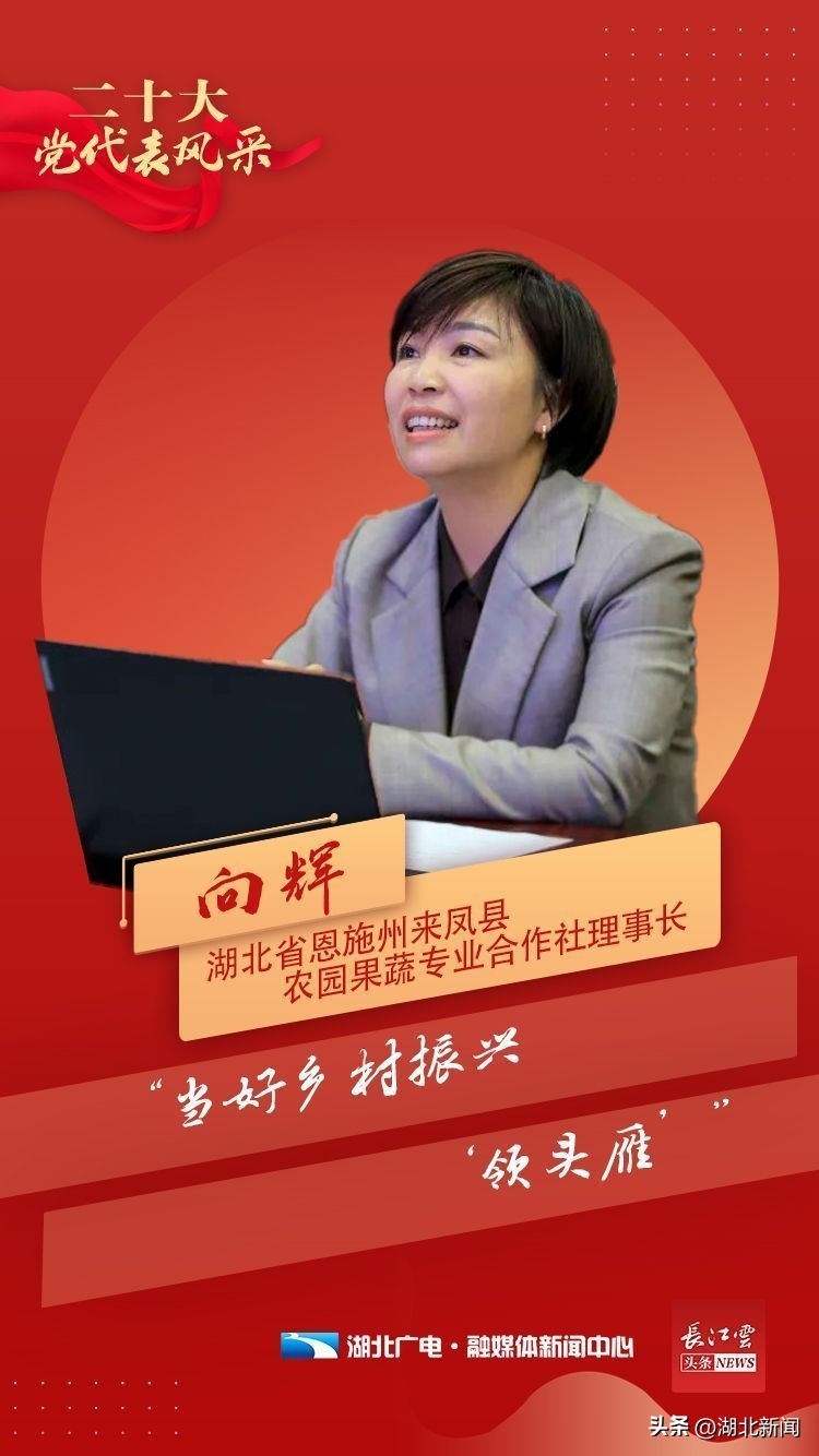 *党**代表风采|向辉:自己富了,就该带动村民一同致富