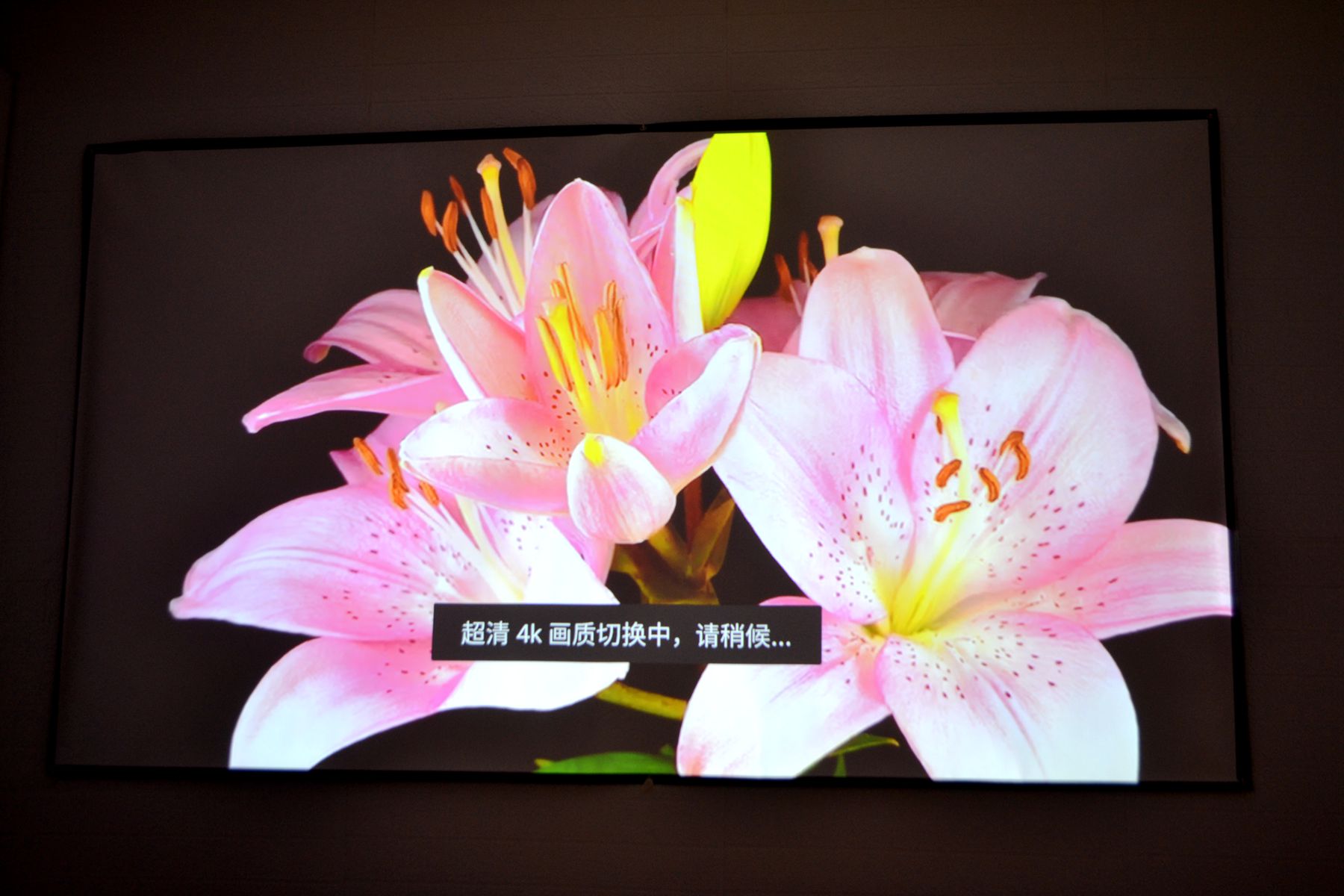 买投影要不要一步到位,买投影