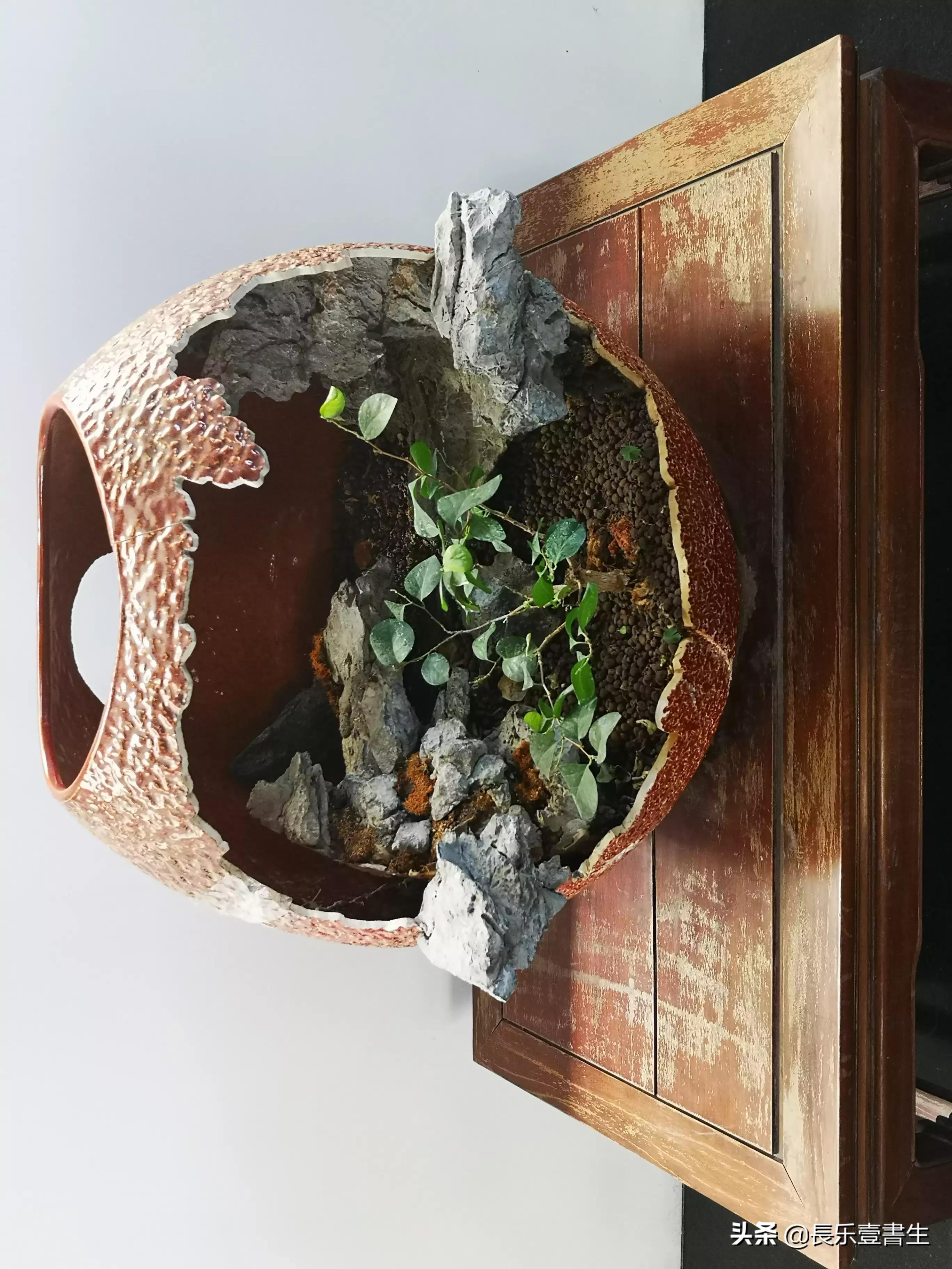 中国园林博物馆游览时间表,小众游玩强烈推荐北京园林博物馆