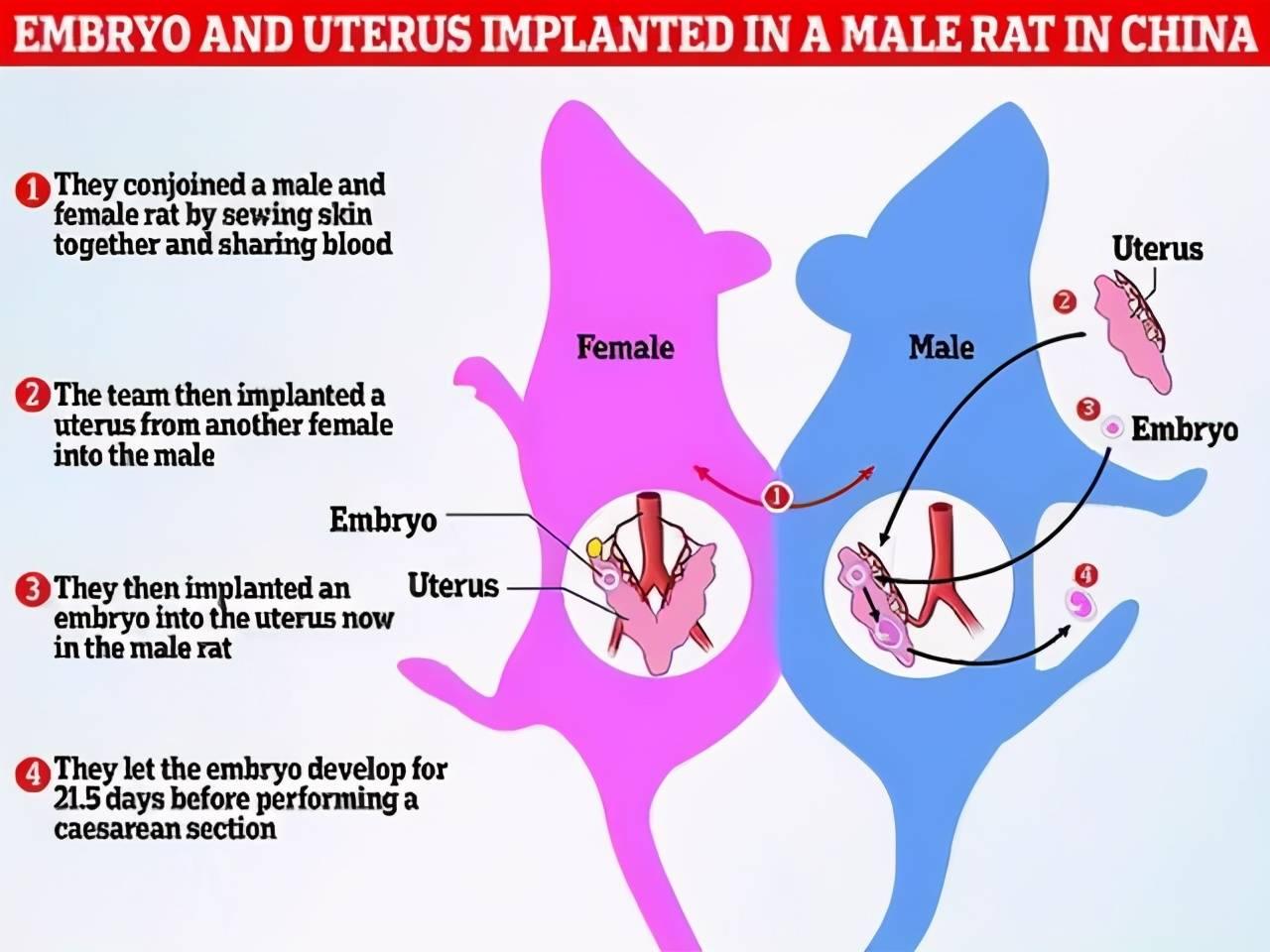 雄性激素脱发是激素多了还是少了,男性45岁还会雄激素脱发吗