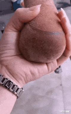 在背上纹棺材,后背纹棺材什么意思