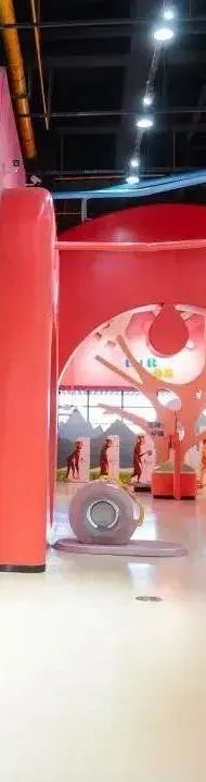 济南冬季遛娃圣地,济南遛娃必打卡