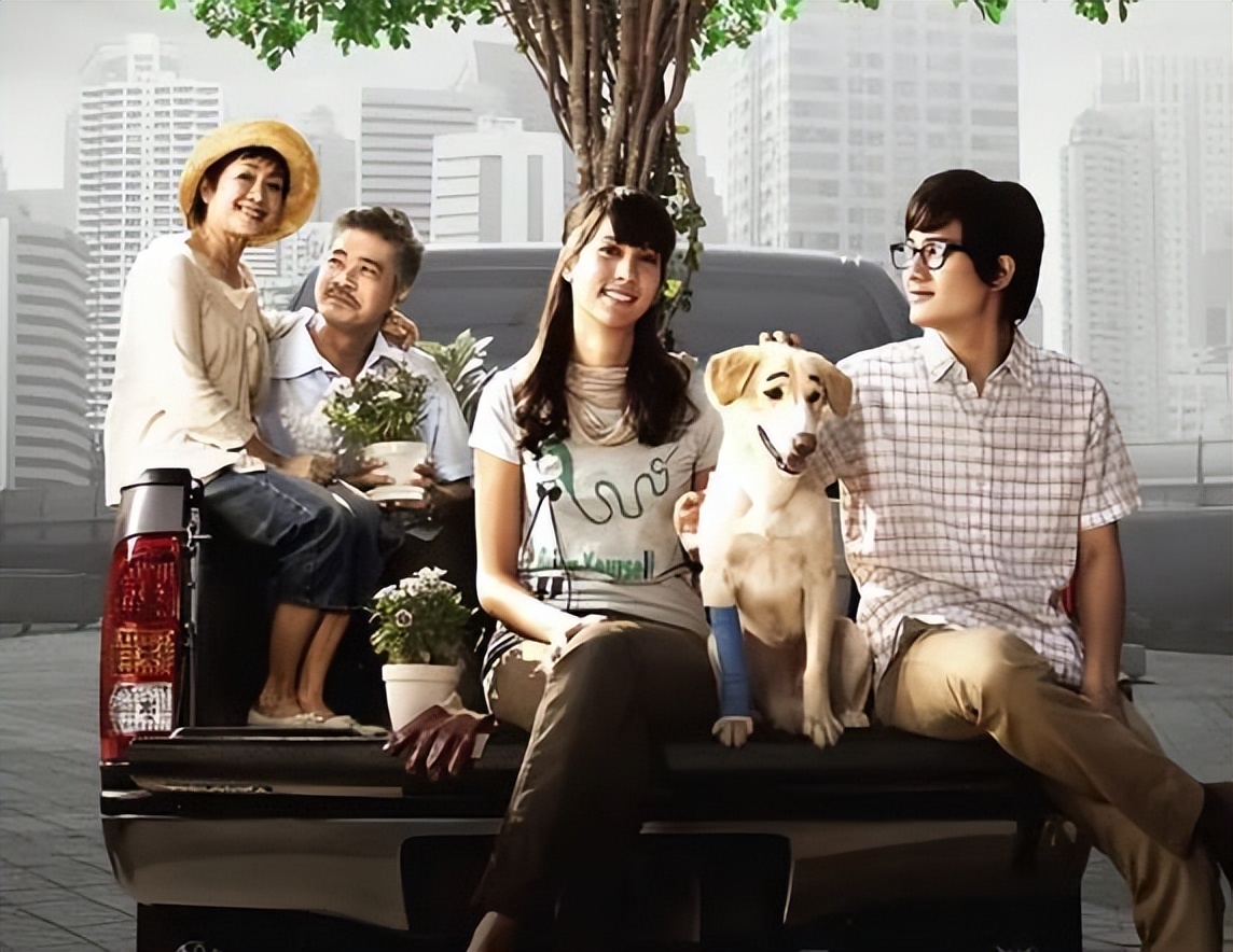 十二部催人泪下的爱情电影,十大催人泪下的爱情电影推荐