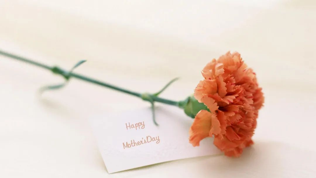 送给母亲最好的礼物,母亲是我生命中最好的礼物