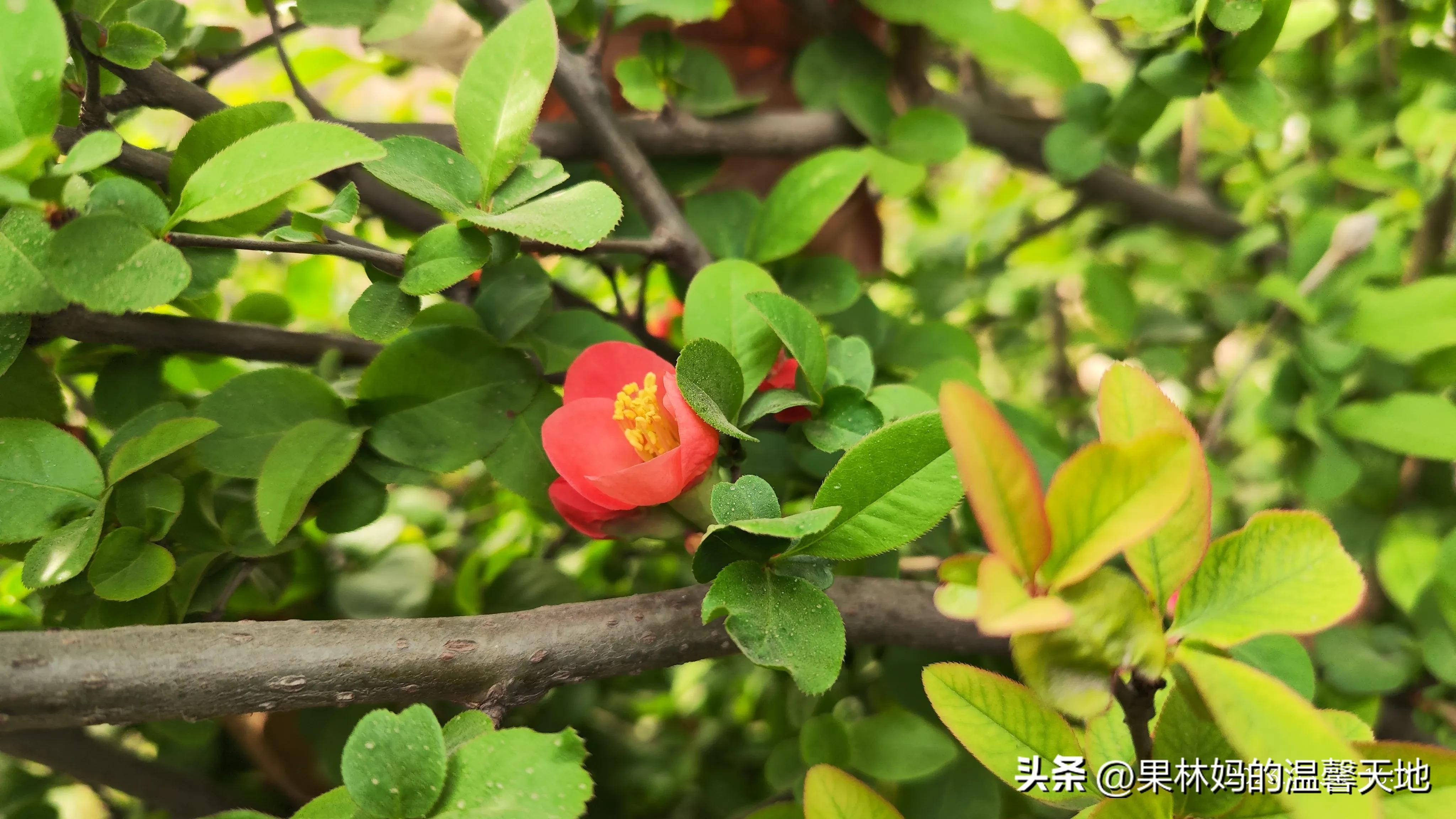 鼻腔有异物可以看急诊吗,晚上鼻腔异物看急诊