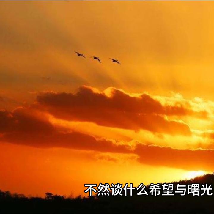 荒天帝,荒野求生真人版生存100天