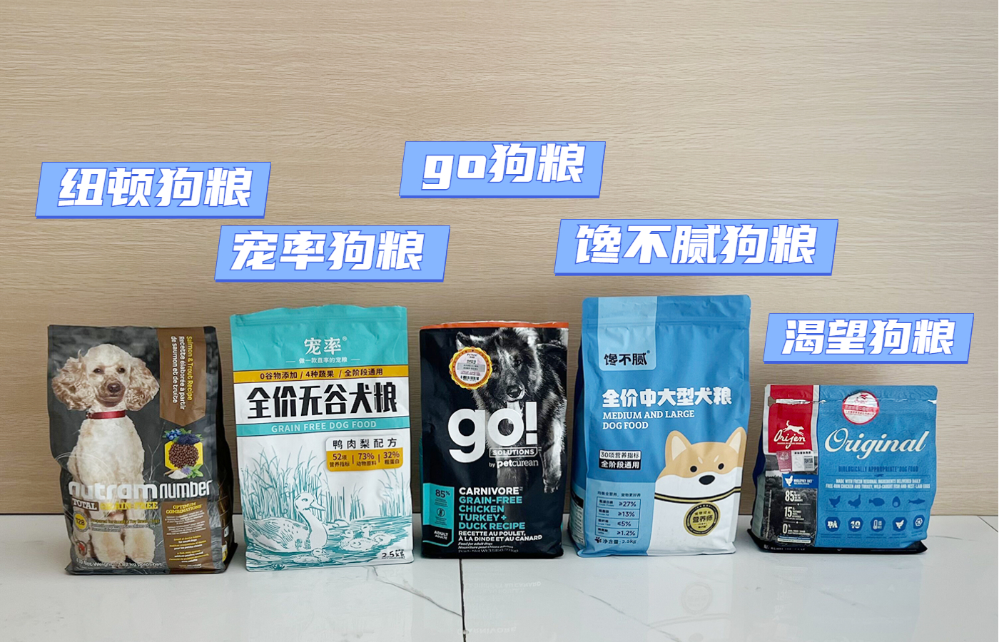 新手养狗建议养什么品种,养狗必读的100种方法