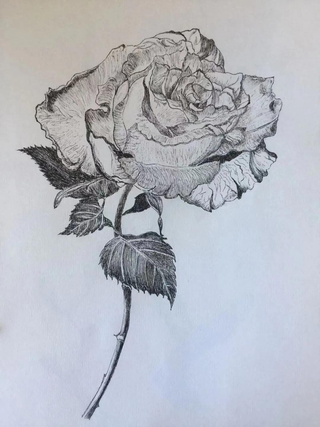 幸福原创创意画,幸福原创绘画作品欣赏