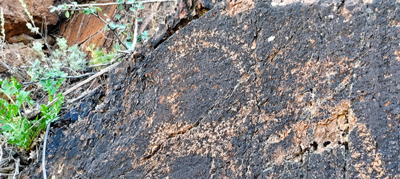 *疆新**兵团四师七十三团布库尔萨依岩画竟如此惟妙惟肖