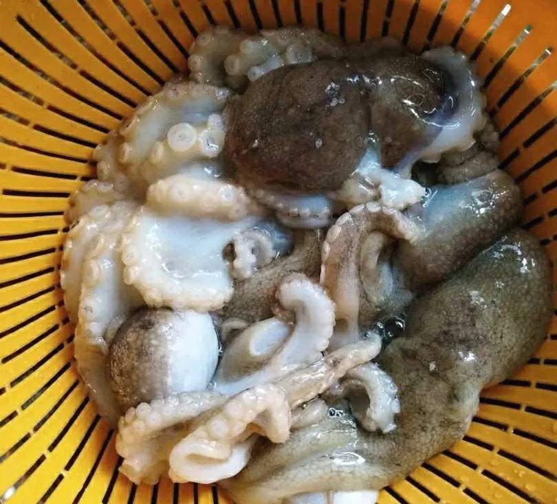 如何挑选冰冻好的小海鲜,最实用的各种海鲜做法都在这里啦