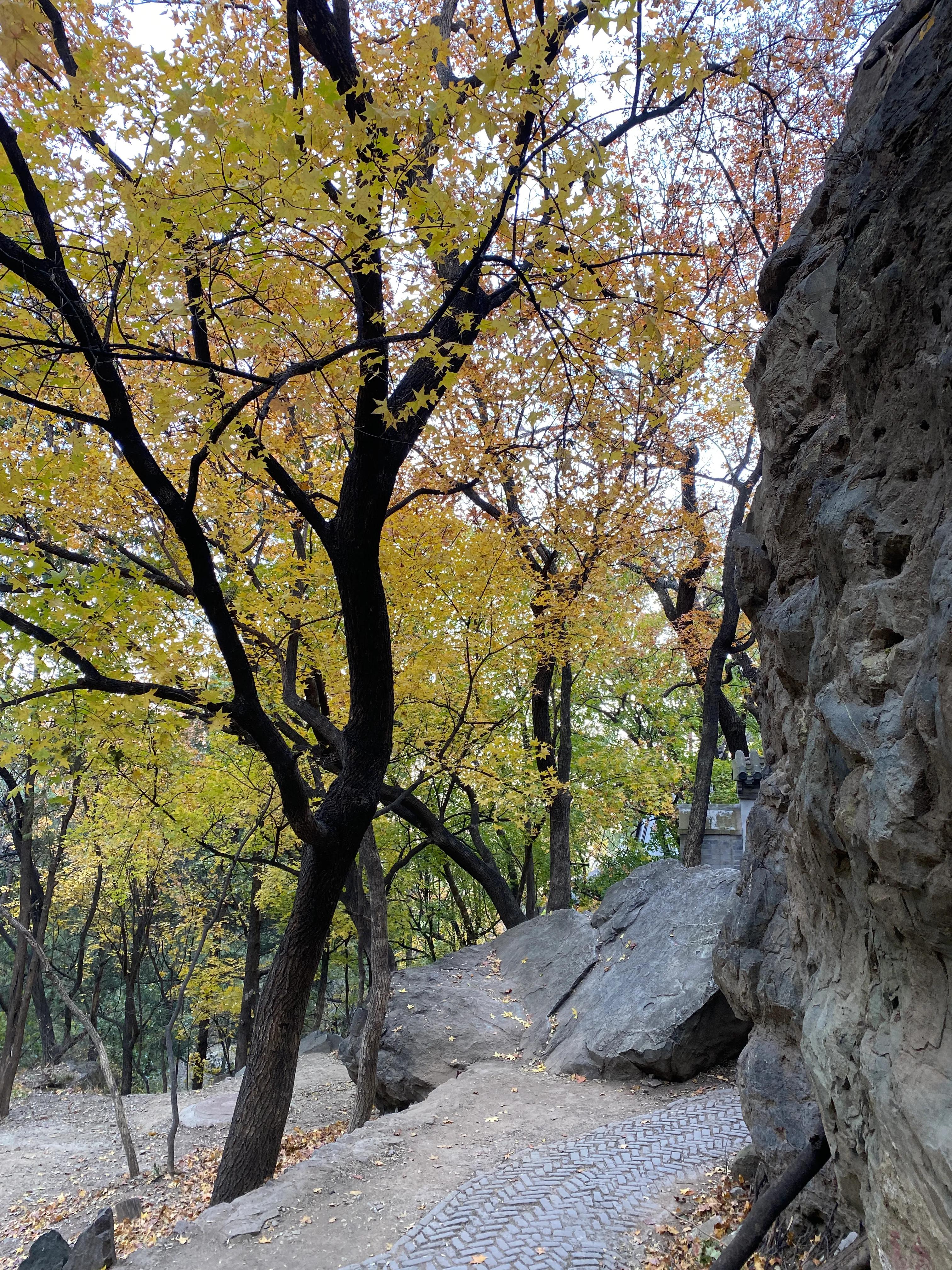 香山风景区打卡攻略,北京香山公园打卡