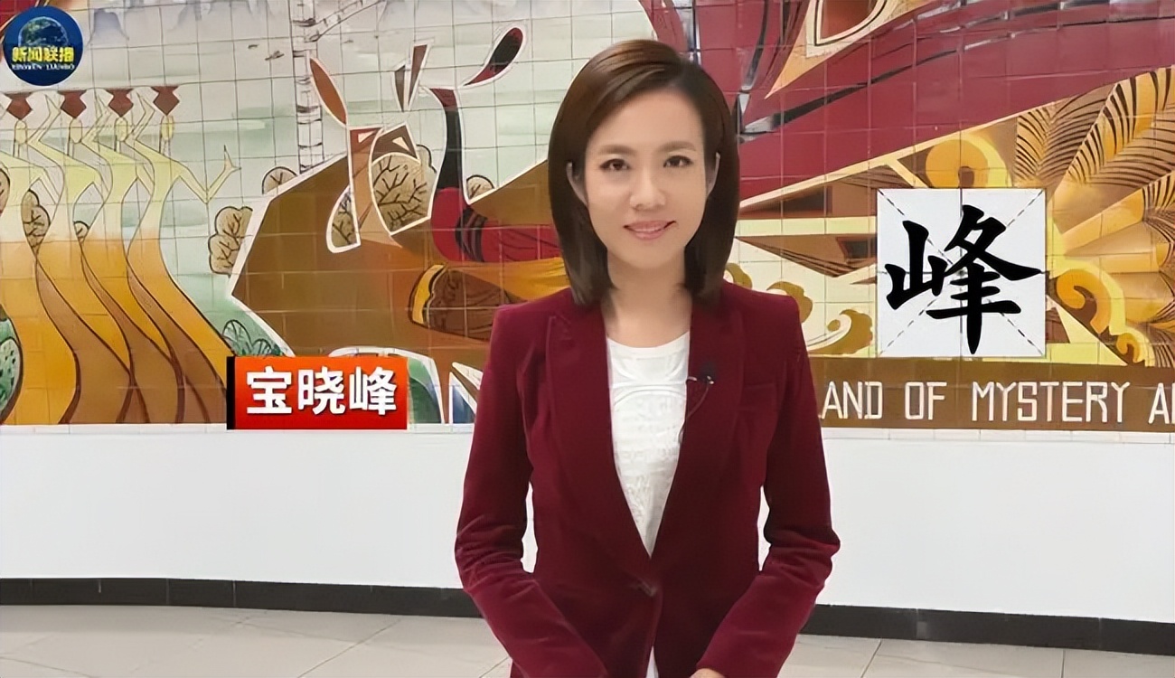 央视主播宝晓峰的老公,宝晓峰央视主持人简介