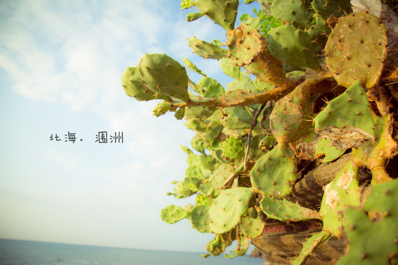 成都自驾涠洲岛攻略路线,春节成都出发自驾游北海涠洲岛