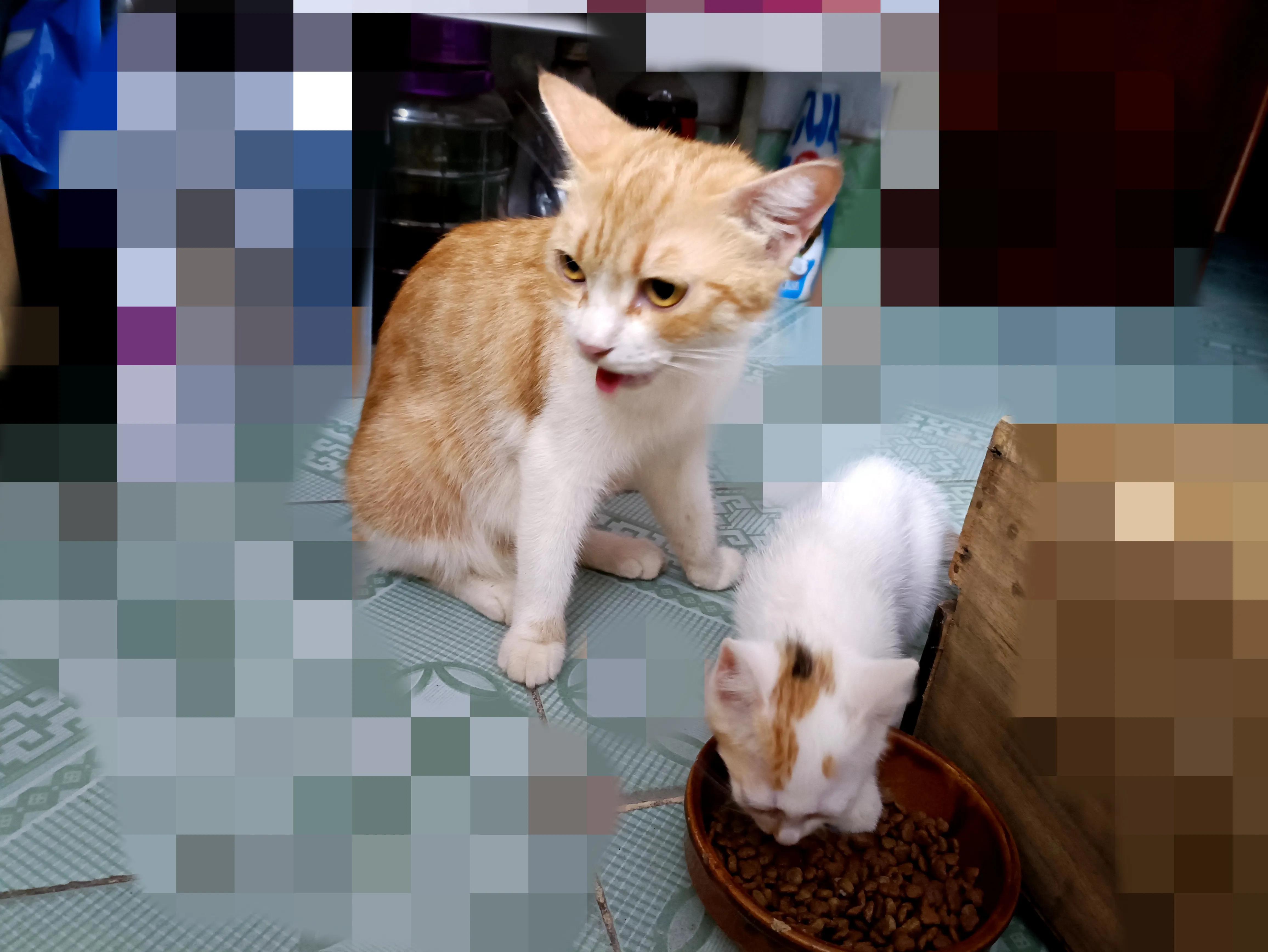 感谢有爱的邻居的视频,感谢有爱的邻居