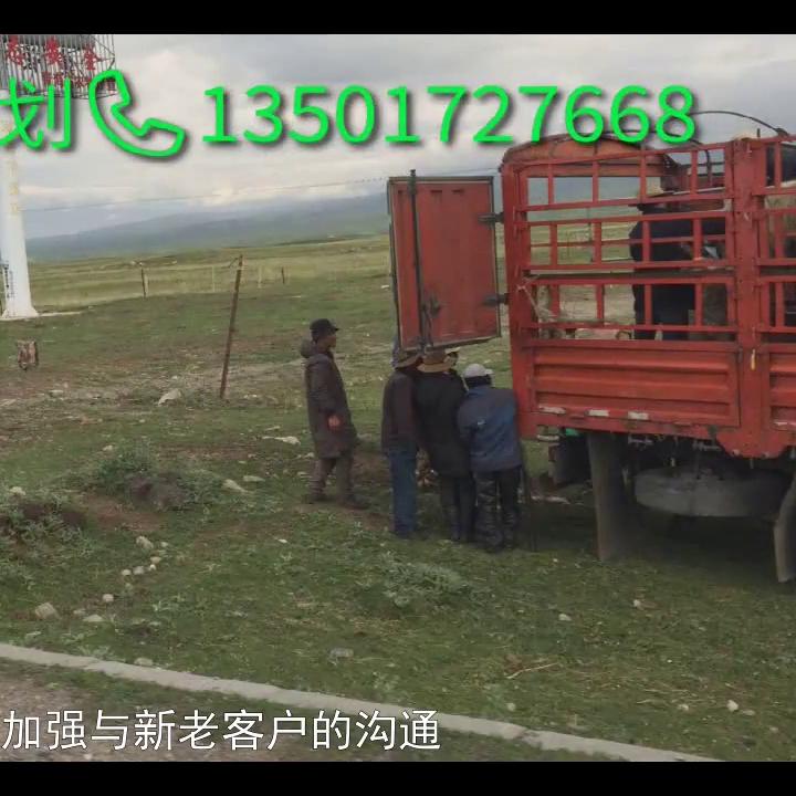 传媒公司策划方案怎么写,传媒公司项目策划方案