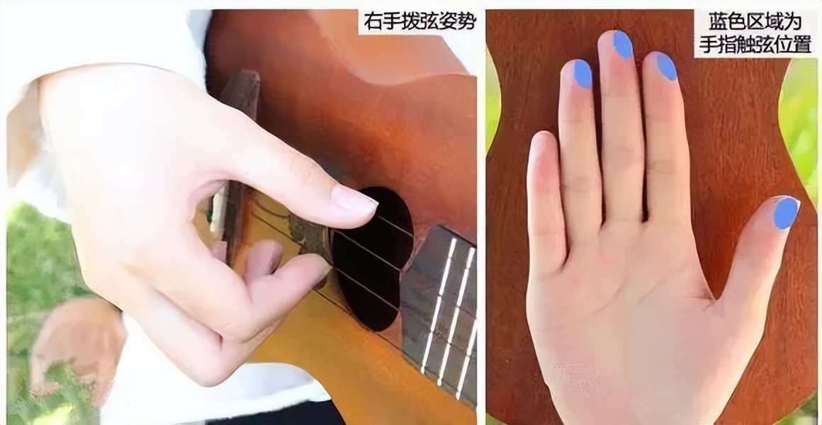 保姆级扫弦教学尤克里里,乐器培训尤克里里