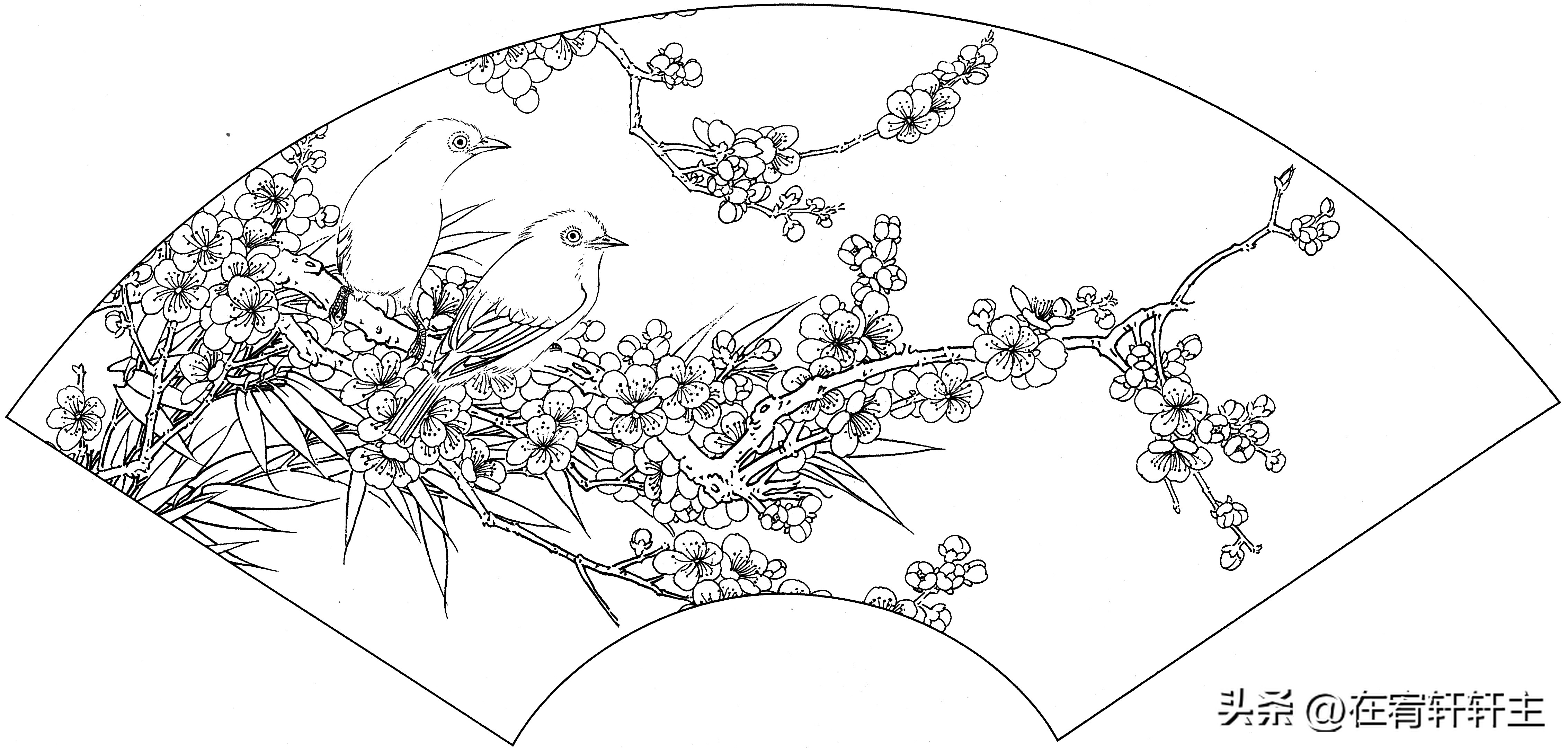 工笔白描祥云图案扇面,工笔扇面葡萄白描图片