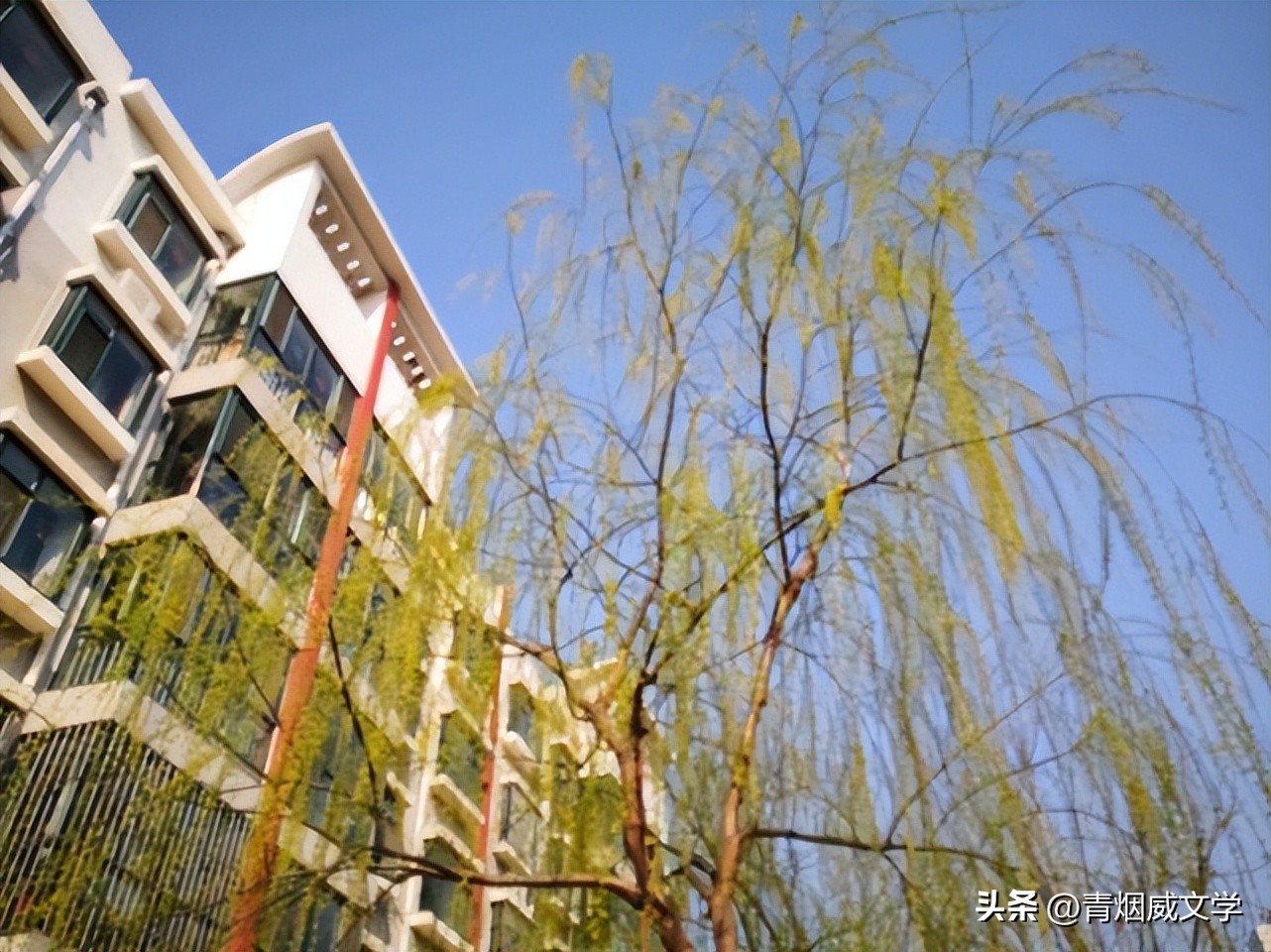 七律春风拂面,两会春风七律