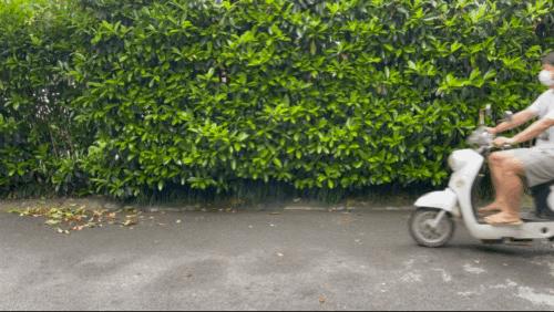 上海疫情后，我成了小区卖菜的