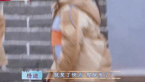 假发假臀假肌肉，半个娱乐圈“从头假到脚”，原来没什么是真的