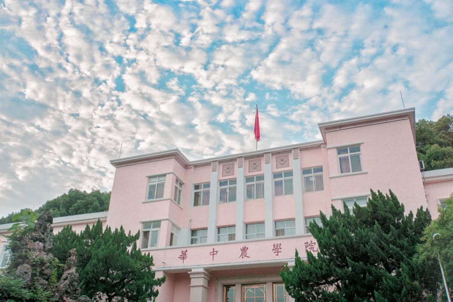 软科2023中国大学专业排名完整版,软科2024中国大学专业排名