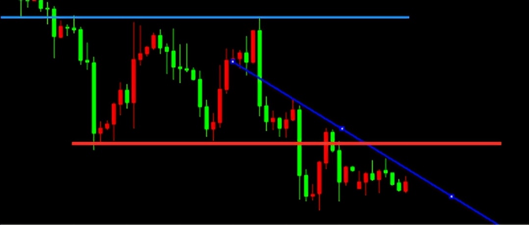 金荣老师直播视频,金荣老师视频