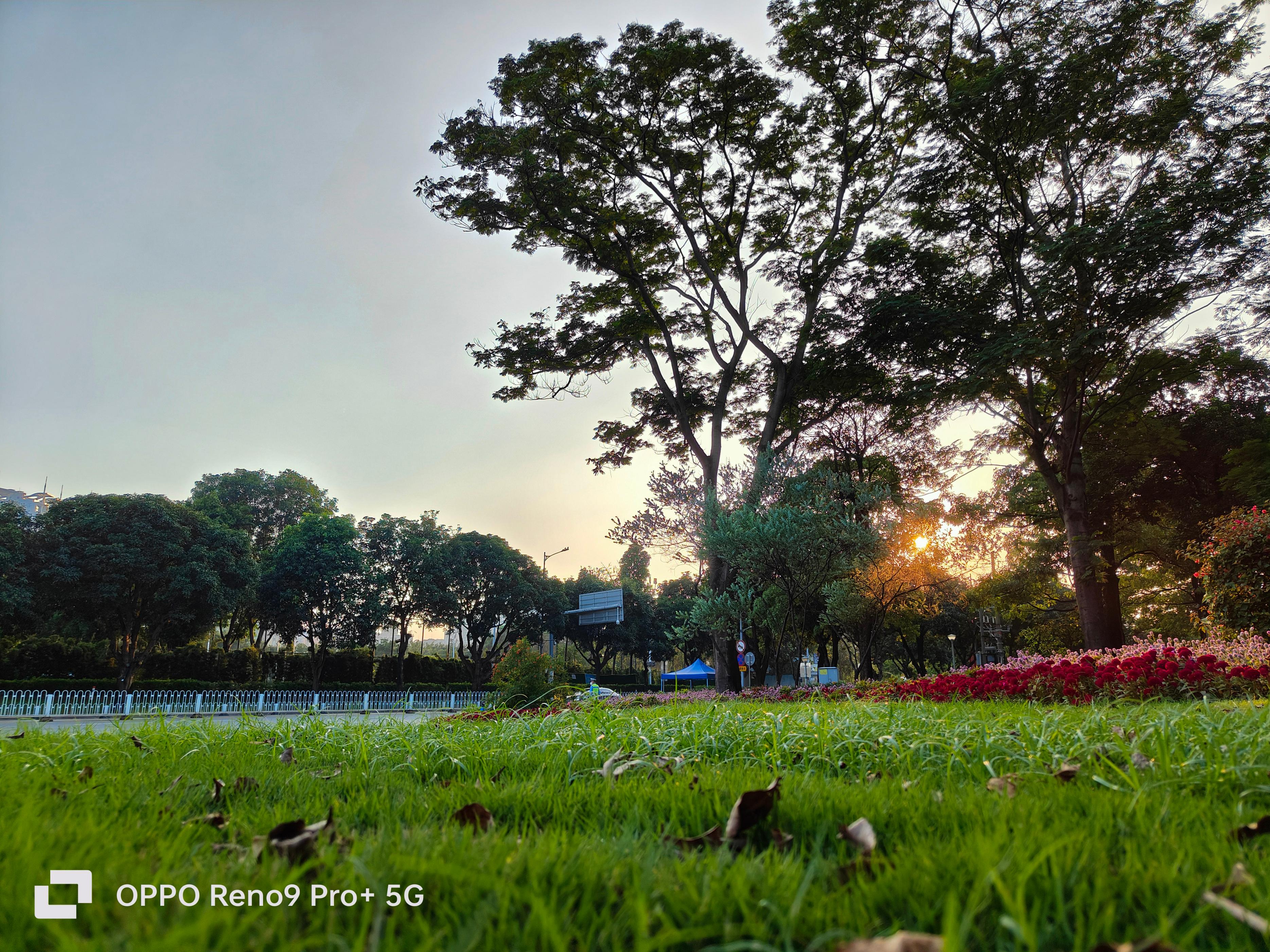 被OPPOReno9超大杯惊艳到了！轻薄手机中的六边形战士，太能打了