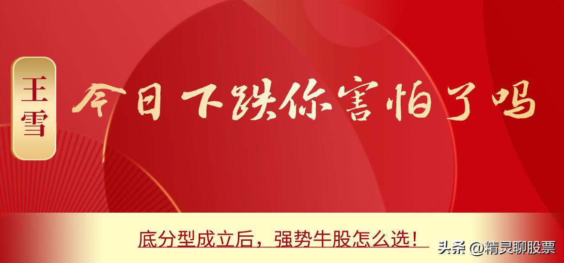 底部放量大涨后的回调选股法,什么样的底分型后市大涨