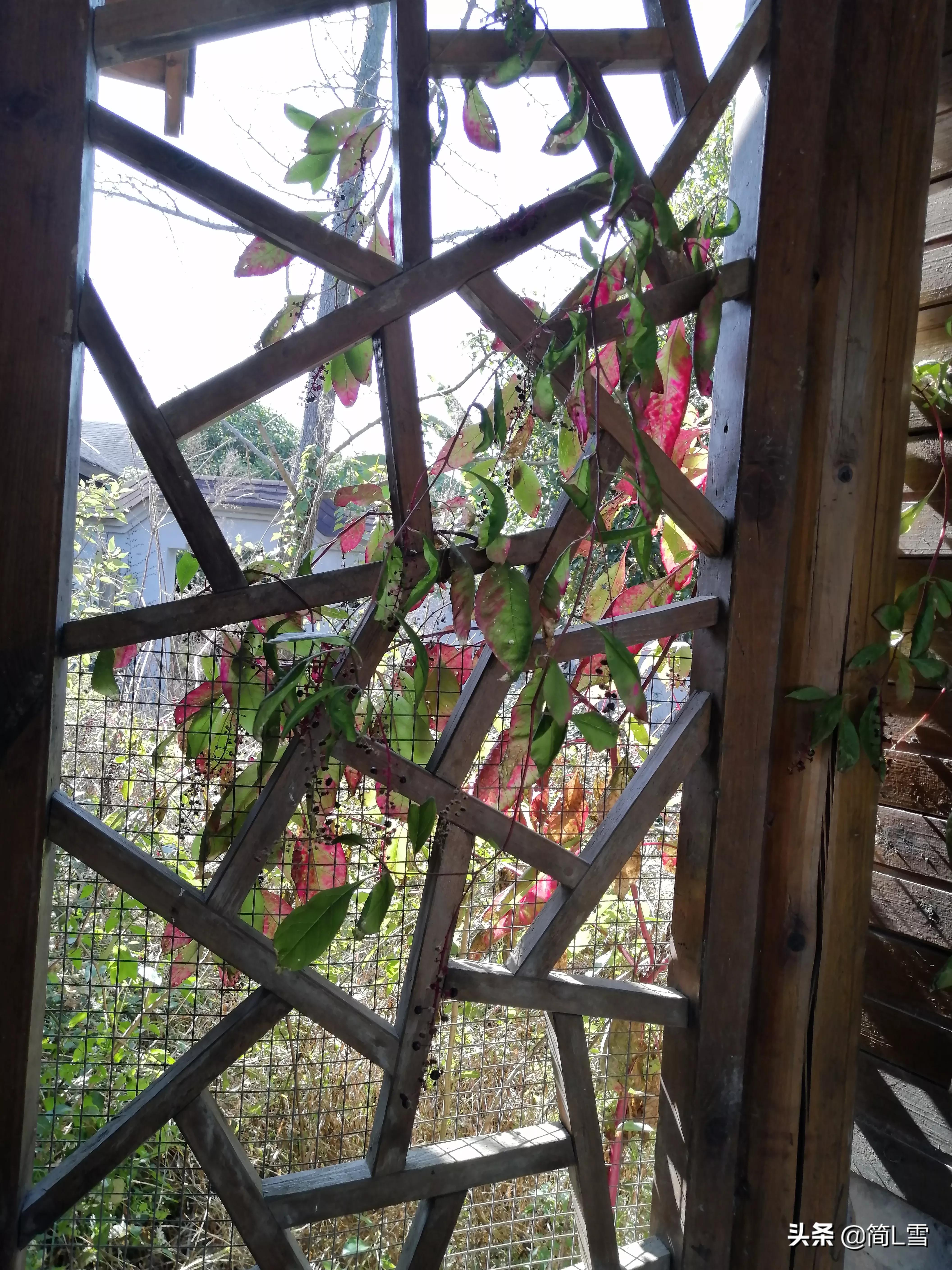 论微笑表情,面无表情的人