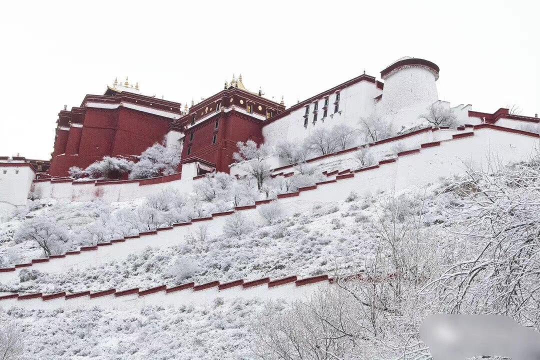 布达拉宫门票怎么网上预约,布达拉宫门票免票时间表