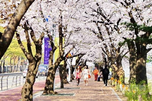 2018韩国签证申请样本,韩国旅游签证在职证明