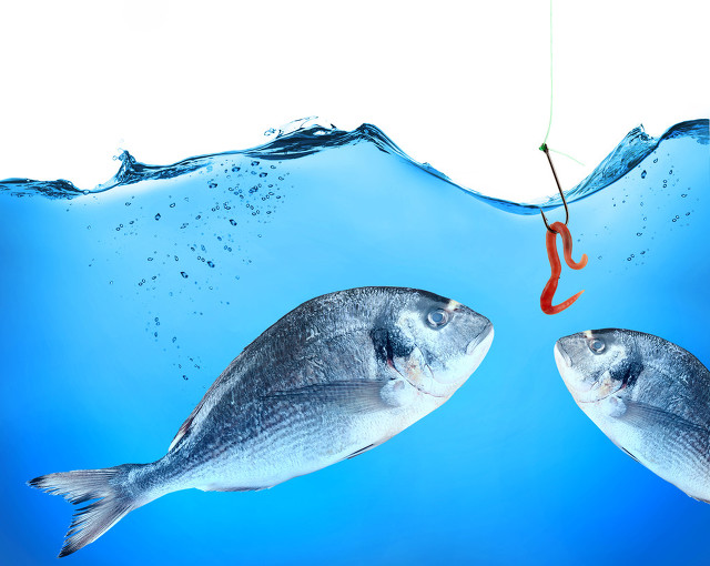 新手绑钩干货教程,详解绑钩诀窍