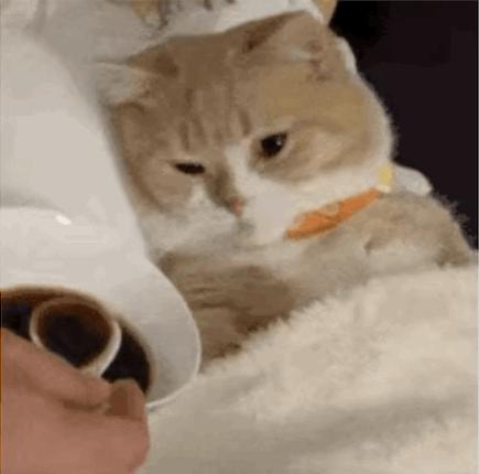 世韩和国产净水器如何选择,净水器哪个牌子的保障比较好