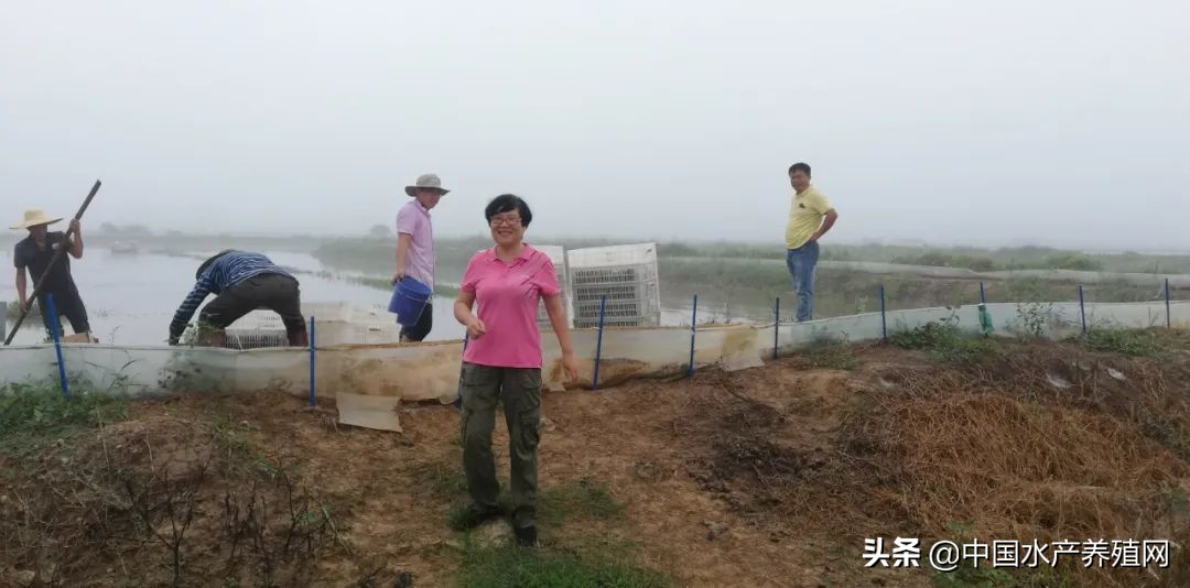 虎年第一笼！这里的反季节小龙虾养殖获重大突破！产值超万