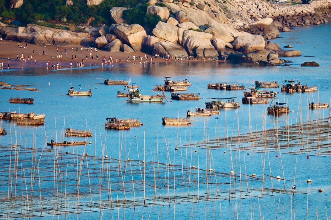 海美、小吃巨好吃！这个神还原游戏世界的小城，不该这样被埋没！