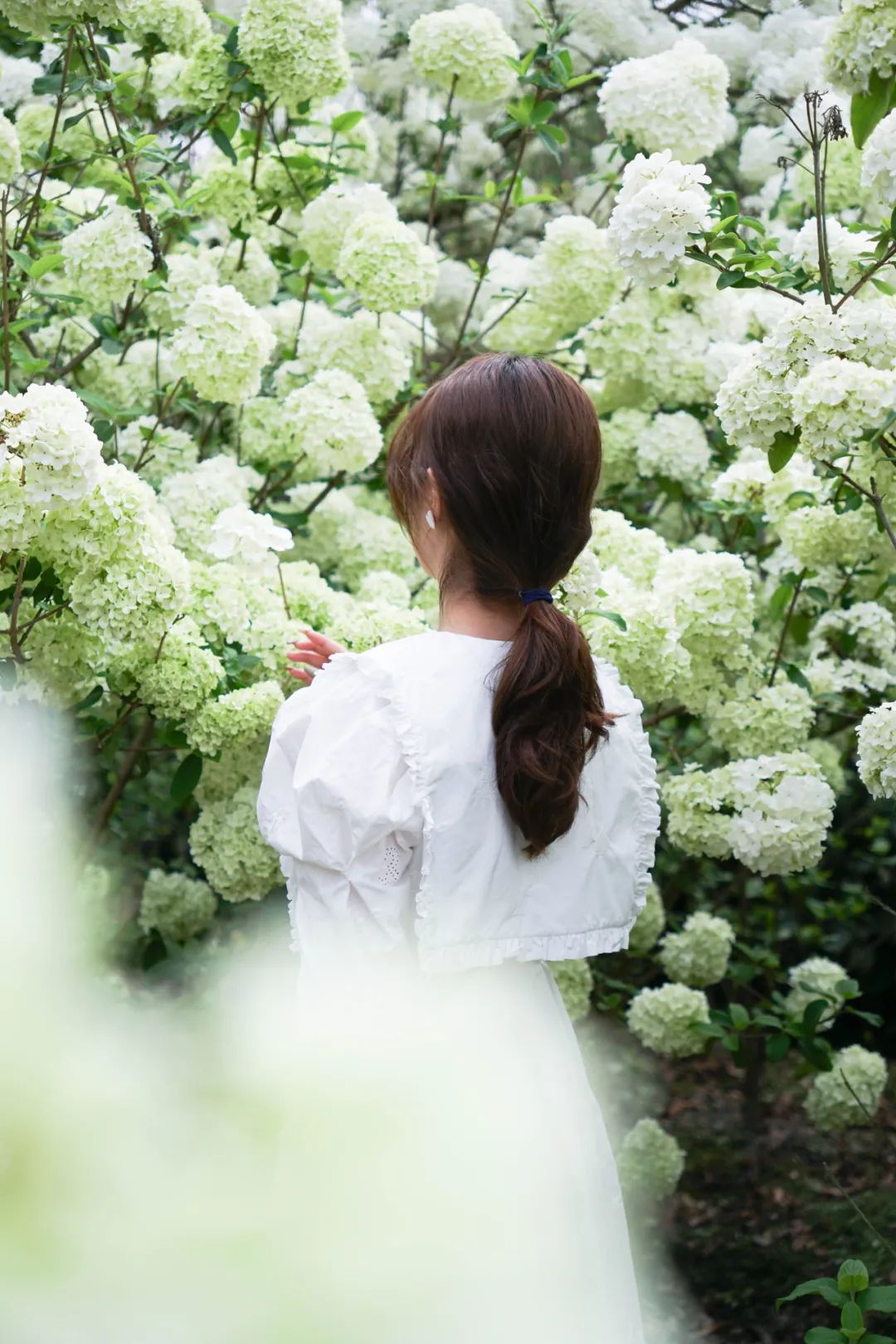 提前盛开！成都市区这个被偏爱的宝藏地又上新，即将刷爆全网