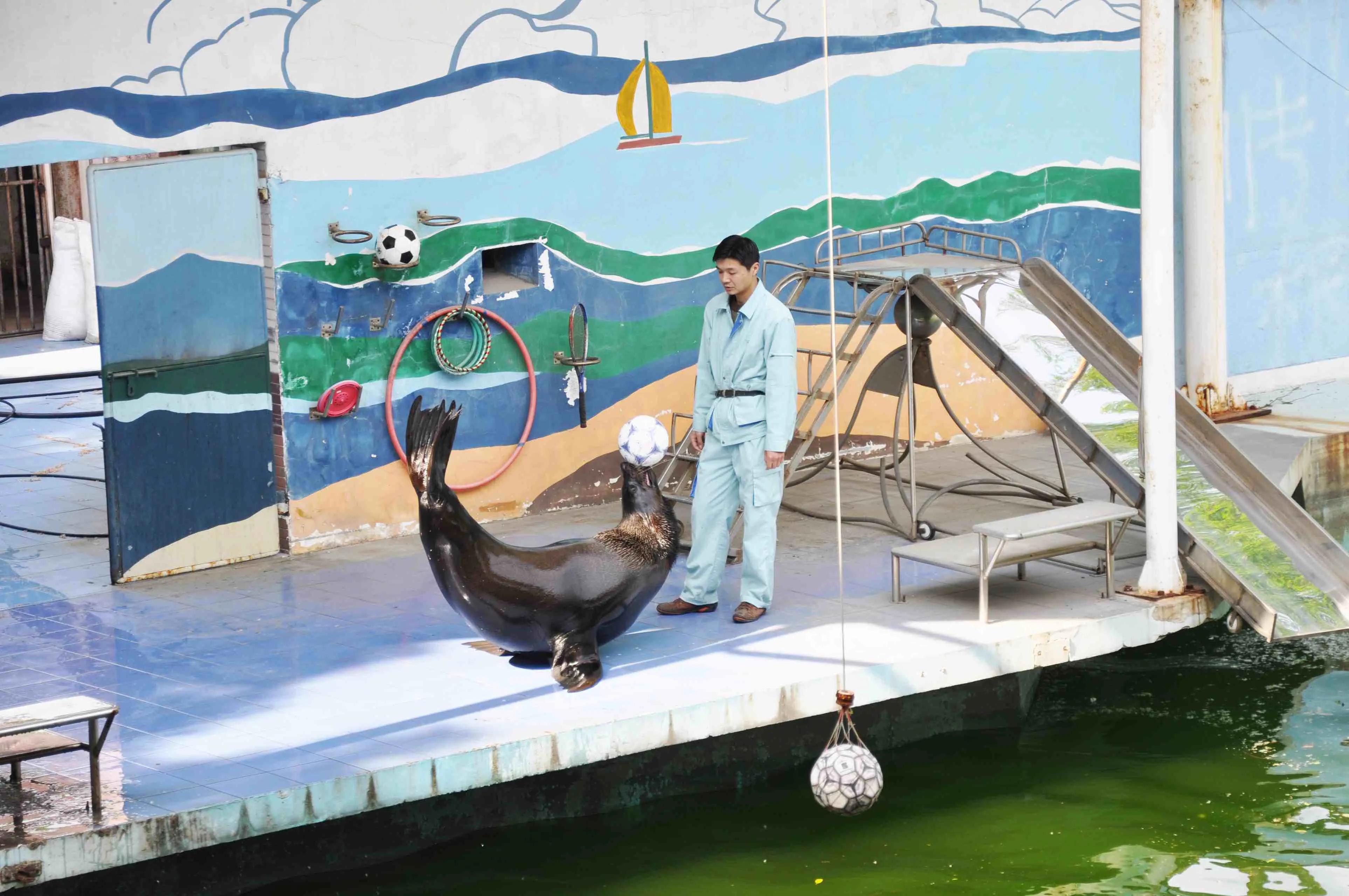 上海遛娃好去处周末亲子时光,上海有哪些值得遛娃的地方