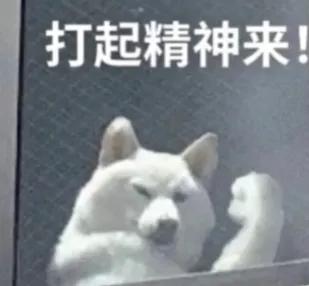 大学生创业被排挤的原因,大学生创业会被人瞧不起吗